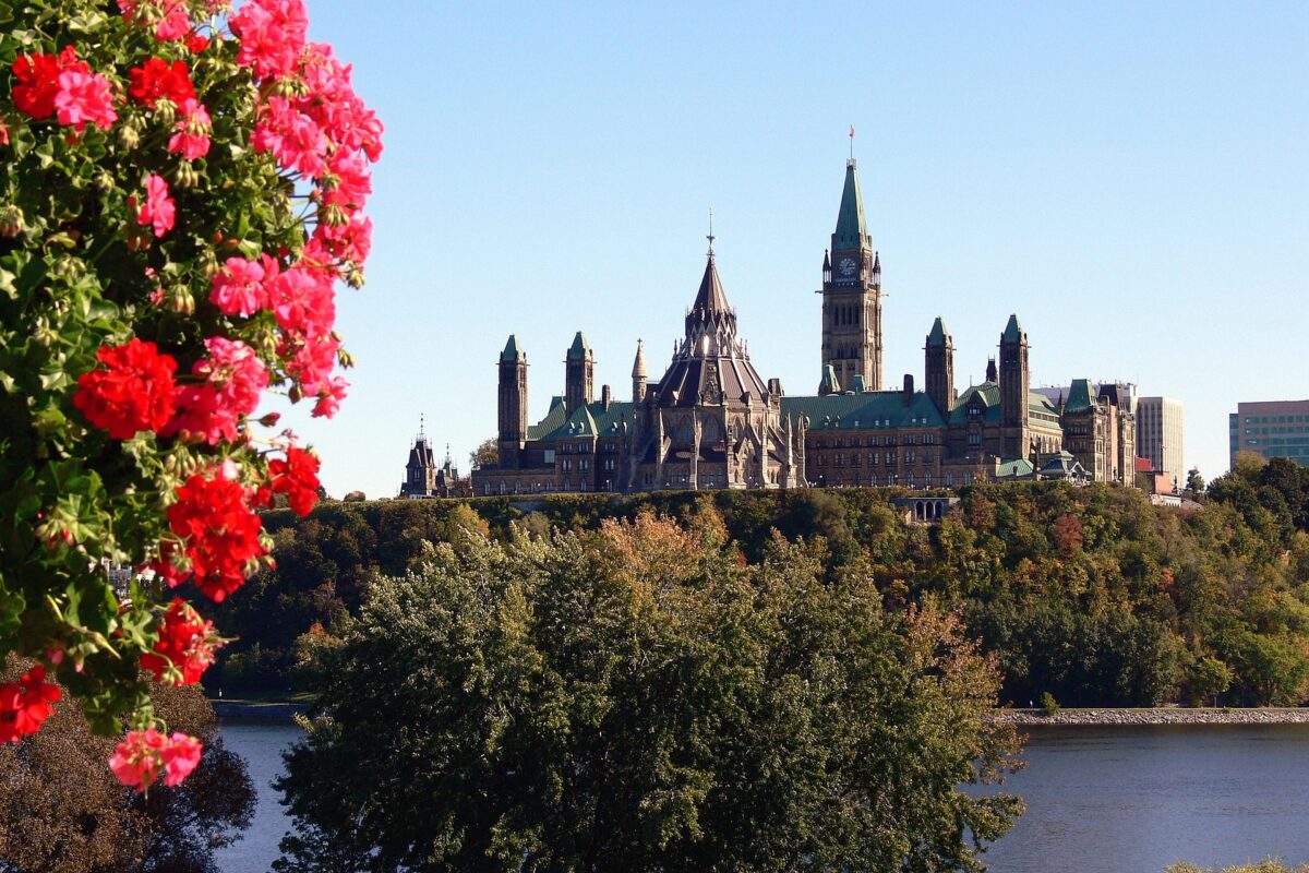 View of Canada’s Parliament buildings in Ottawa, framed by bright pink flowers on the left and dense green trees in the foreground, with the Ottawa River visible at the bottom of the image under a clear blue sky.