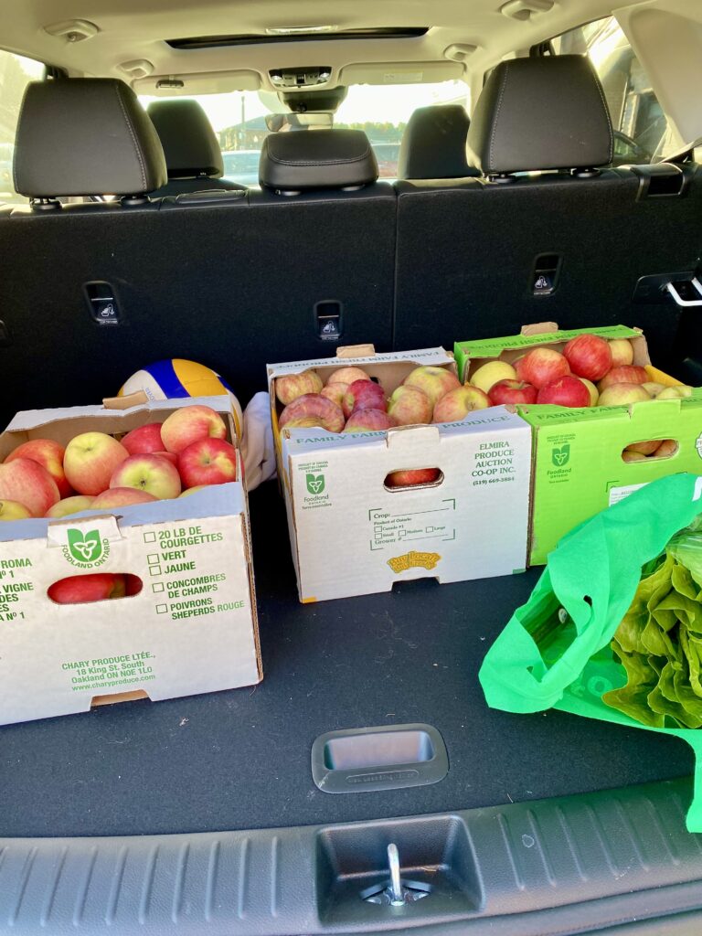 Boxes of Canadian apples, part of a local harvest haul, illustrating Canadian sovereignty and community resilience through food.